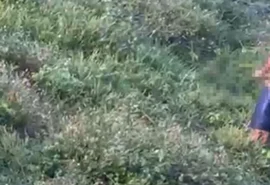 Homem é flagrado se masturbando em terreno próximo de academia no interior de Alagoas