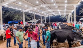 Pão de Açúcar se prepara para a 1ª Expoçúcar, evento que une agronegócio, cultura e economia local
