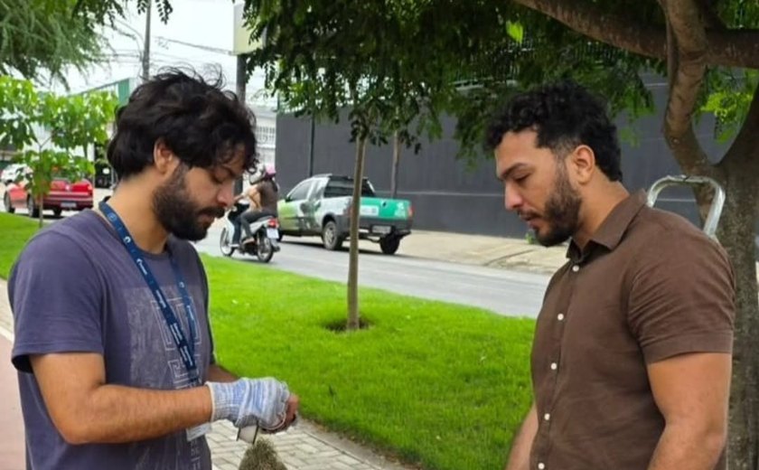 Pesquisa da USP com Ufal testa bromélia em Arapiraca