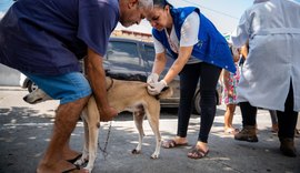 Prefeitura de Maceió vacina mais de 90 mil animais durante campanha antirrábica 2025