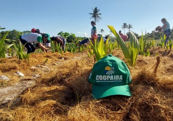 Coopaiba lidera movimento pela criação de uma nova Rota de Produção Agrícola