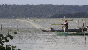 Estudo da Ufal aponta riscos do mercúrio para pescadores e marisqueiras de Maceió