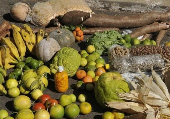 Agropecuária gerou mais de 36 mil novos postos de trabalho em junho