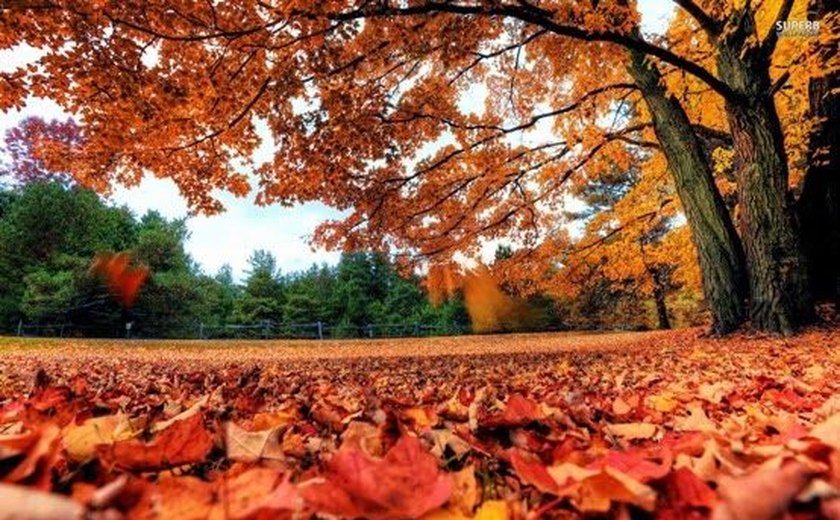 Outono no hemisfério sul começa às 7h29 da próxima segunda-feira