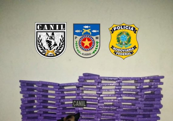 PM apreende quase 200 kg de maconha em abordagem a veículo na BR-101