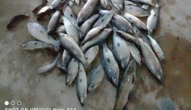 MPF instaura procedimento para apurar mortandade de peixes na Lagoa de Jequiá