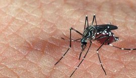 Contágio pelo Aedes cai 98% comparado ao mesmo período de 2016