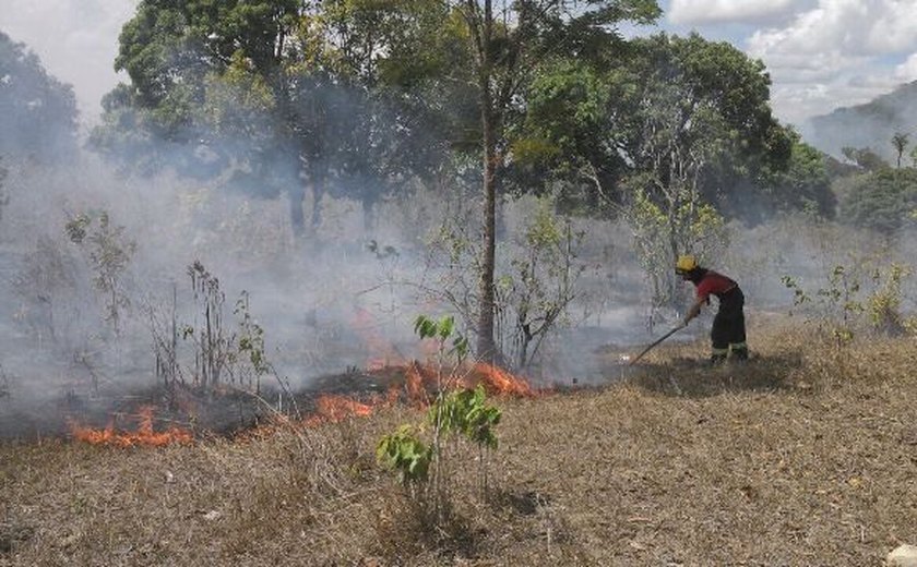 Aumentam registros de focos de incêndios em Alagoas