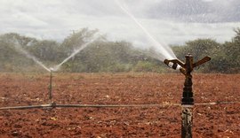 Projetos Públicos da Codevasf produziram 3,7 milhões de toneladas de itens agrícolas em 2016