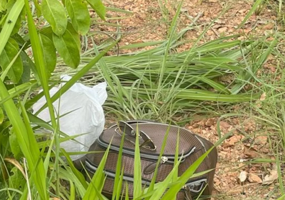 Homem mata namorada a pauladas e esconde corpo no pasto