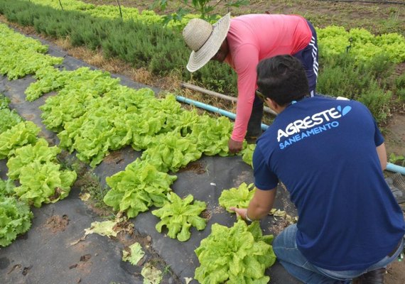 Agricultores de Arapiraca recebem mantas do projeto Agreste Rural