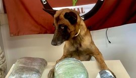 PM apreende drogas e arma de fogo em ações em Jaramataia e Colônia Leopoldina