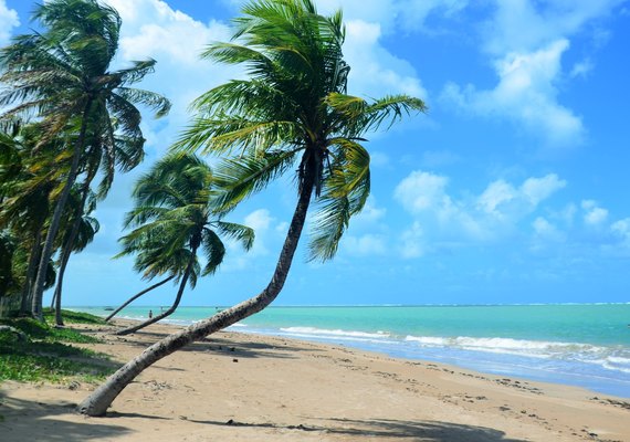 Seis destinos imperdíveis para viajar com o Sesc em Alagoas; confira