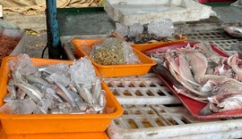 Operação fiscaliza comércio de pescado e apreende produtos impróprios em Arapiraca