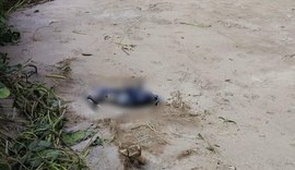 Polícia Científica inicia processo para identificar ossada humana encontrada em São Miguel dos Milagres