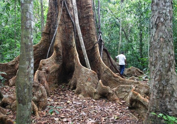 Trilhas ecológicas são opções para a baixa temporada