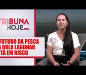 Entrevista - Maria Aparecida da Silva