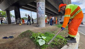 Área do viaduto de Jacarecica recebe ação conjunta de melhoria urbana