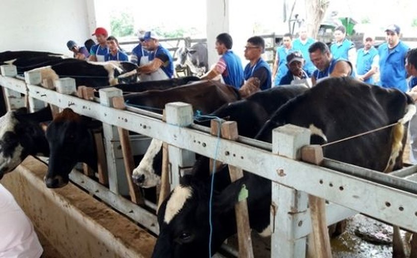 Expo Bacia Leiteira oferece curso de inseminação artificial de bovinos