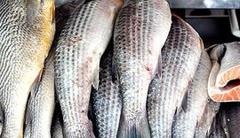 Índice de fraudes na venda de pescado chega a 21% em 12 estados e no DF