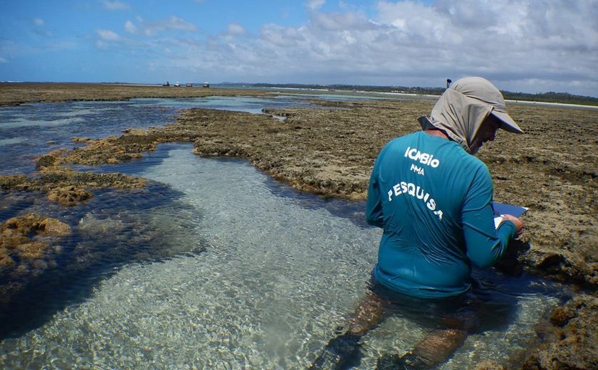 A importância dos municípios para conservação da APA Costa dos Corais