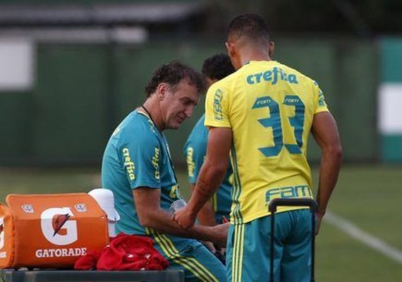 Palmeiras planeja 'mistão' contra o Grêmio de olho no título