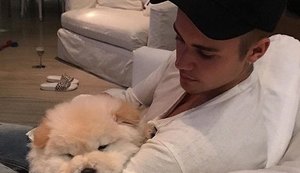 Bieber abandona cão doente e dançarino adota pet que precisa de cirurgia de R$ 25 mil