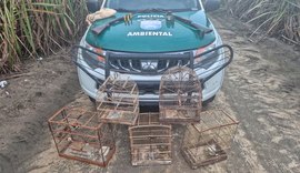PM/AL resgata mais de 250 animais silvestres e apreende oito armas em operações ambientais