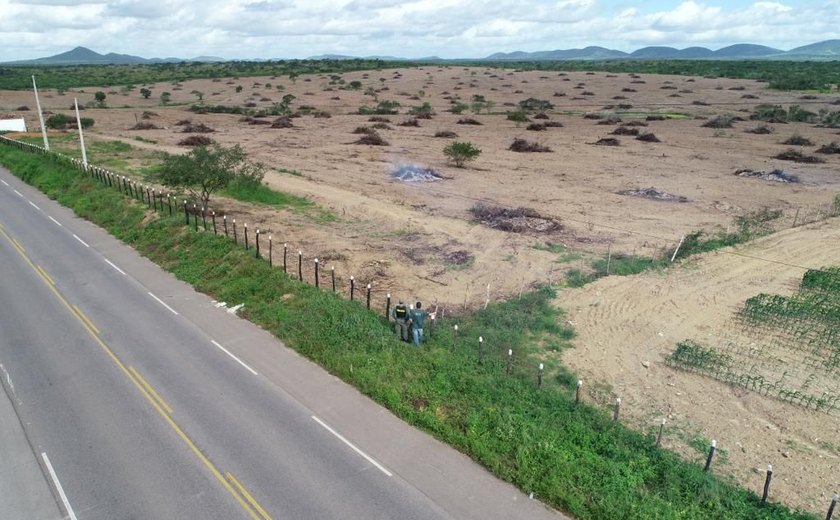 FPI flagra desmatamento de 60 hectares de vegetação nativa de Caatinga em Girau