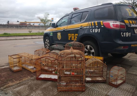PRF em Alagoas detém duas pessoas no final de semana por crimes distintos