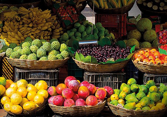 Feira agroecológica oferta produtos saudáveis nesta terça (6), na Praça Deodoro