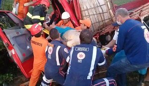 Caminhão colide em animais e vítimas ficam presas às ferragens