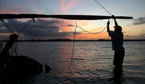 Peixamento com surubim e pirá no Velho Chico marca Semana do Meio Ambiente