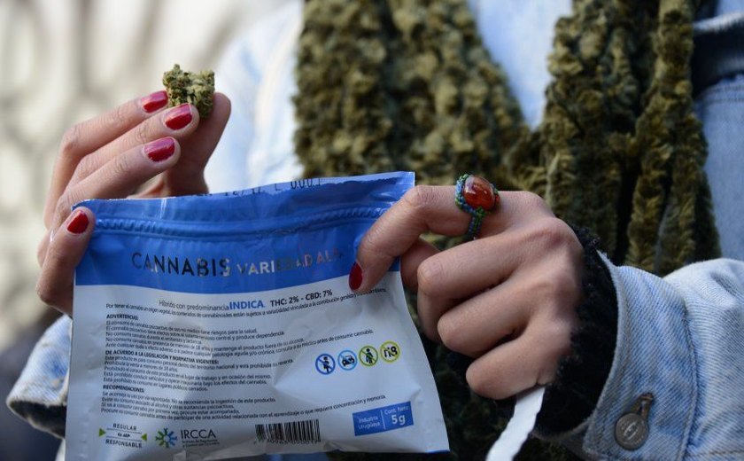 Uruguai legalizou maconha e elevou penas para tráfico de outras drogas