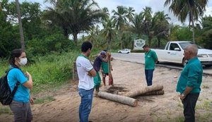 Japaratinga cumpre determinação do ICMBio e fecha acesso de veículos às praias