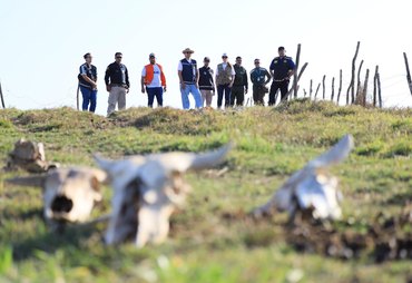 FPI flagra abate clandestino de bovinos e apreende carne imprópria para consumo