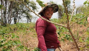 Participação do interior no PIB de Alagoas supera a capital, aponta IBGE