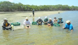 Política de apoio às mulheres marisqueiras é sancionada