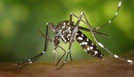 Começa hoje Semana Nacional de Combate ao Aedes aegypti