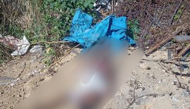 Corpo com marca de tiro na cabeça é encontrado em terreno baldio no Cidade Universitária