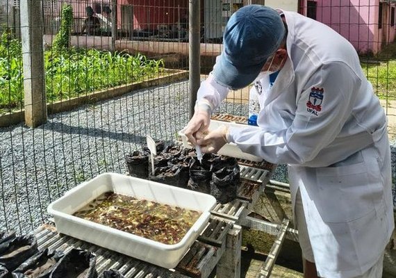 Ufal integra projeto campeão de prêmio nacional de preservação ao Meio Ambiente