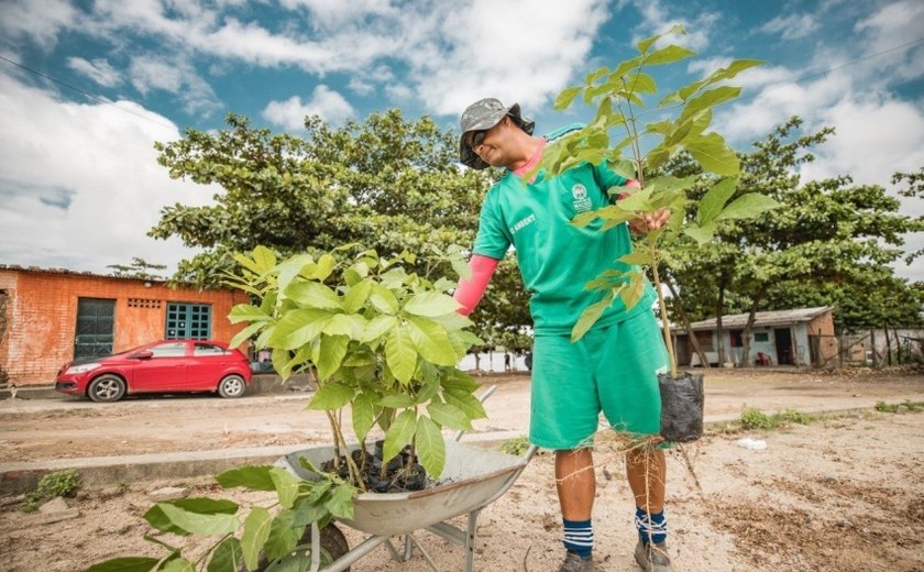 Prefitura de Maceió alerta para furtos de plantas em espaços públicos