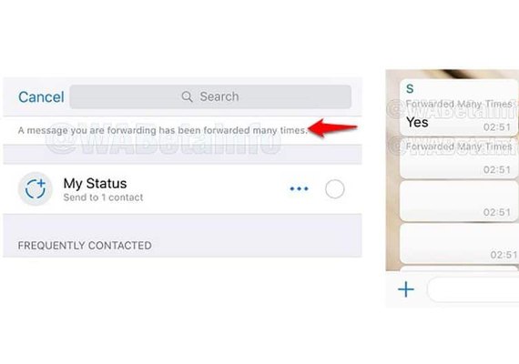 Para evitar propagação de boatos, golpes e spam, WhatsApp inicia testes