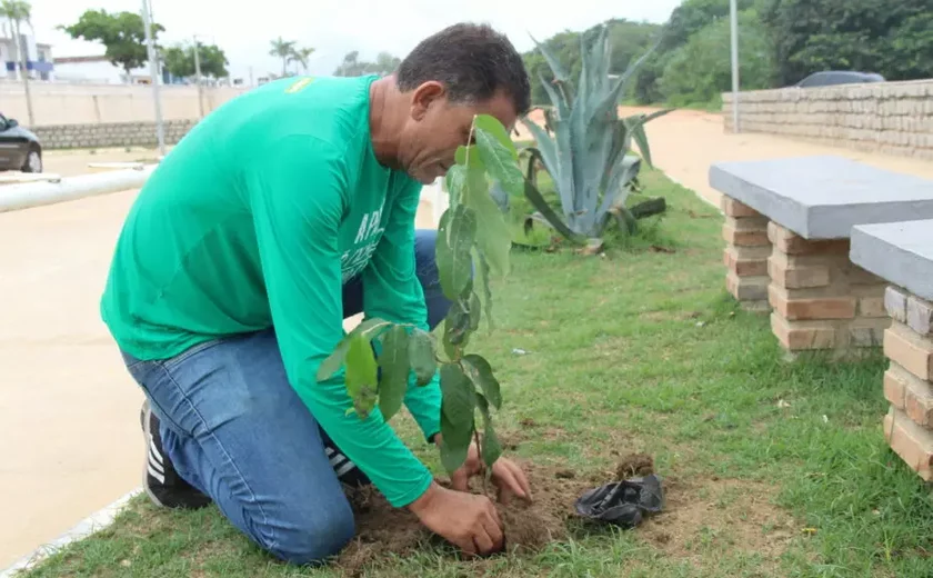 IMA ultrapassa 1,6 milhão de  mudas plantadas