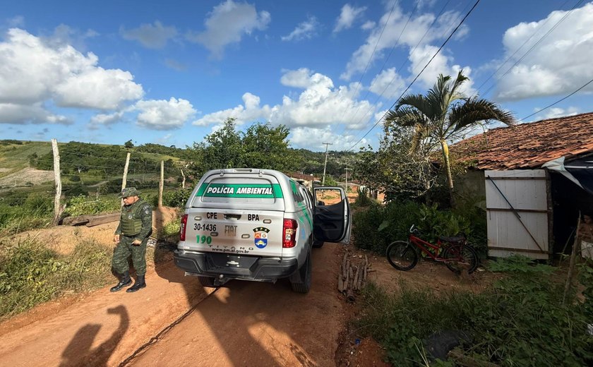 Operação prende duas pessoas e apreende armas de fogo e aves silvestres em Alagoas