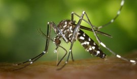 Nordeste apresenta menor incidência de dengue do país