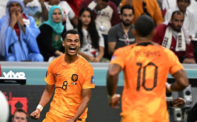 Holanda supera Catar por 2x0 e avança como primeiro lugar do Grupo A