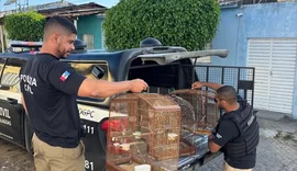 Polícia Civil deflagra operação com mais de 35 mandados contra suspeitos de crimes no interior de Alagoas