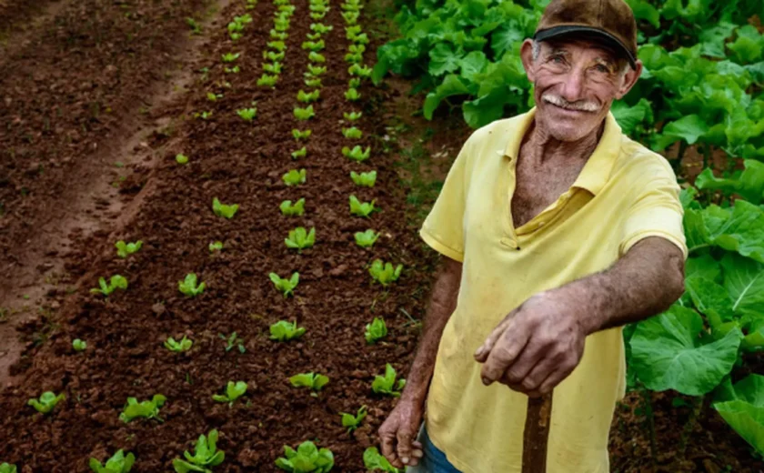 Transformação digital redefine nova fase do cooperativismo agropecuário