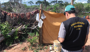 Trabalho escravo: 2.575 pessoas foram resgatadas em 2022